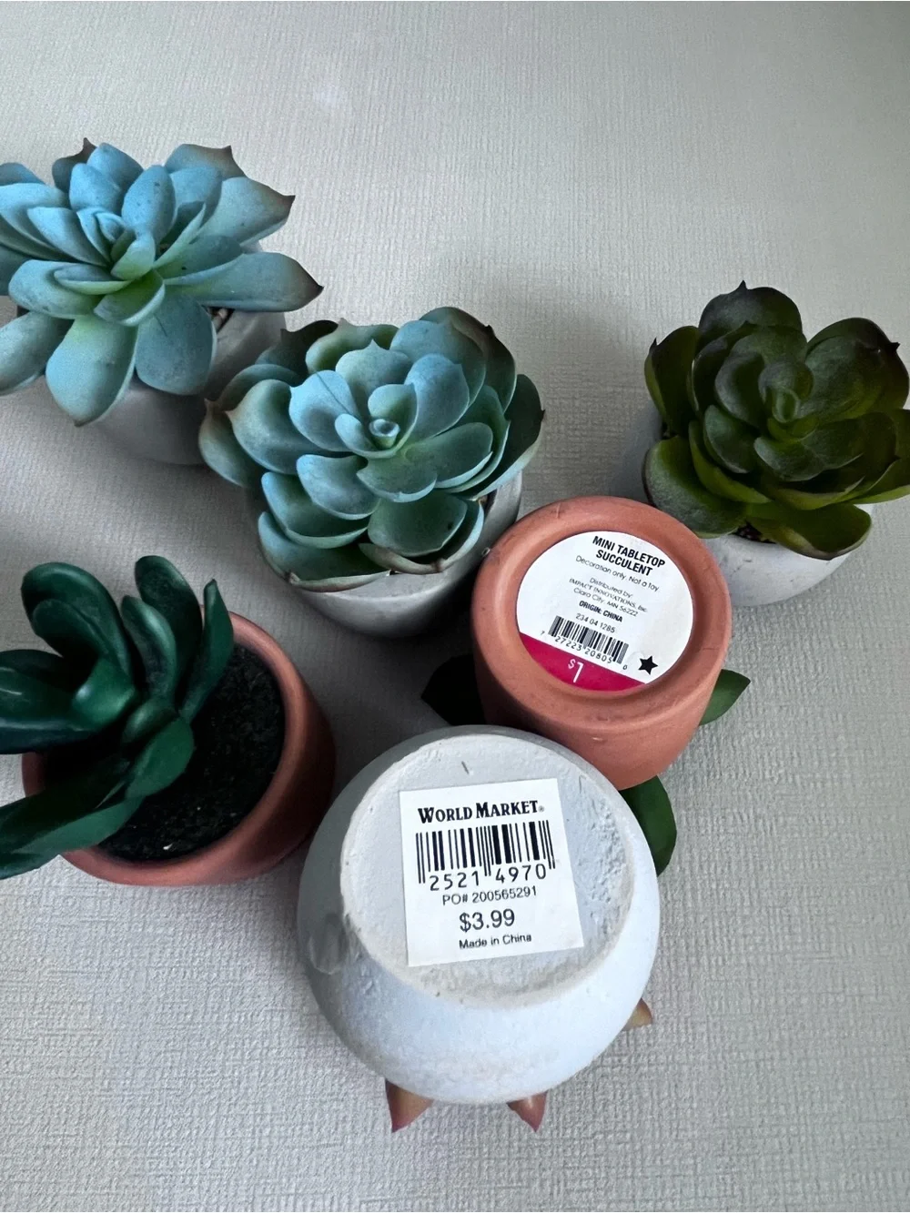 Cost Plus World Market Faux Succulents — Green, Teal & Pink, 3”h